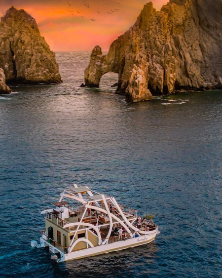 Gourmet Sunset Cruise Dining Animalon in Los Cabos