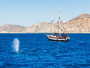 Pirate Ship Cruise in Cabo San Lucas Mexico on the Cabo Legend