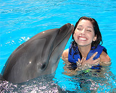 Cabo dolphin