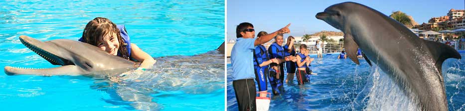 Cabo Dolphins