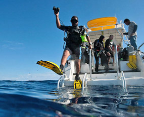 Cabo Open-Water Scuba