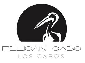 Pelican Cabo Boat Tours