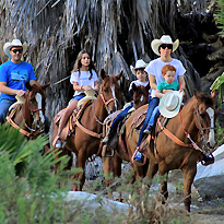 Wild Canyon Los Cabos horseback riding