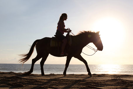 horeseback riding in Cabo