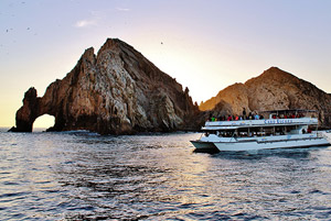 Cabo Escape Cruise Cabo San Lucas Mexico Whale Watching