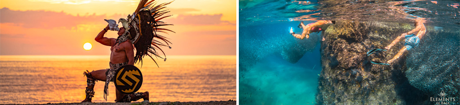 Elements of Baja Private Tours Tours and Activities