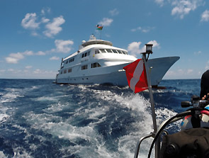 diving in Mexico