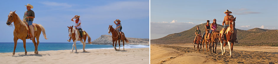 Cabo beach horseback riding tours