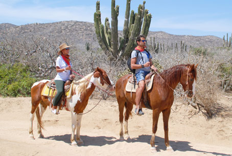 Cabo beach horseback riding tours