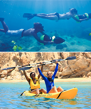 Cabo Adventures Tours