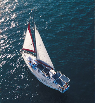 Cabo Sailing Tours