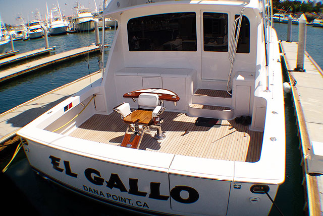 bisbee fishing tournament cabo san lucas mexico