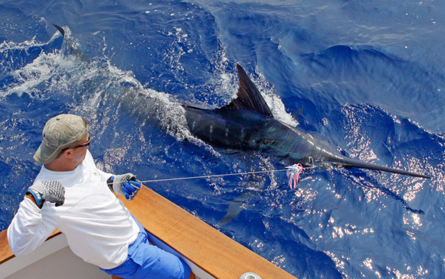 Fishing at Loreto, Baja California Sur