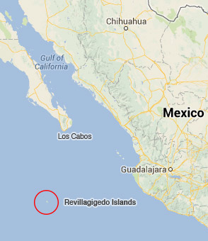 Diving the Socorro Islands of Baja California Sur Mexico