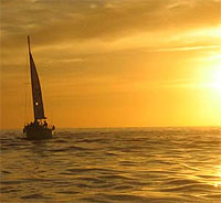 Cabo Sails Sunset Cruises in Cabo San Lucas