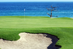 Puerto Los Cabos golf course