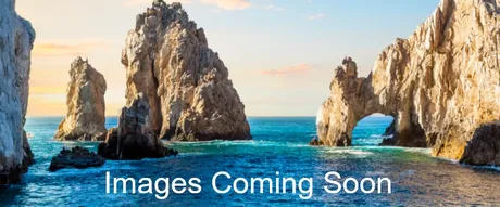 Featured_Image_Fallback