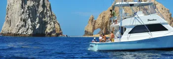 thankyouemailtours