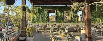 cabo blog simaruba restaurant san jose del cabo events banner