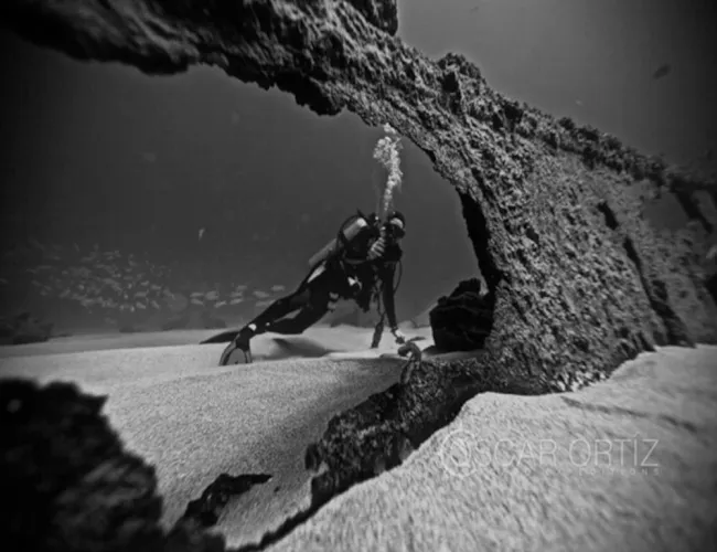 Newly uncovered shipwreck