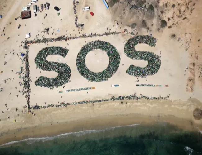 Los Cabos