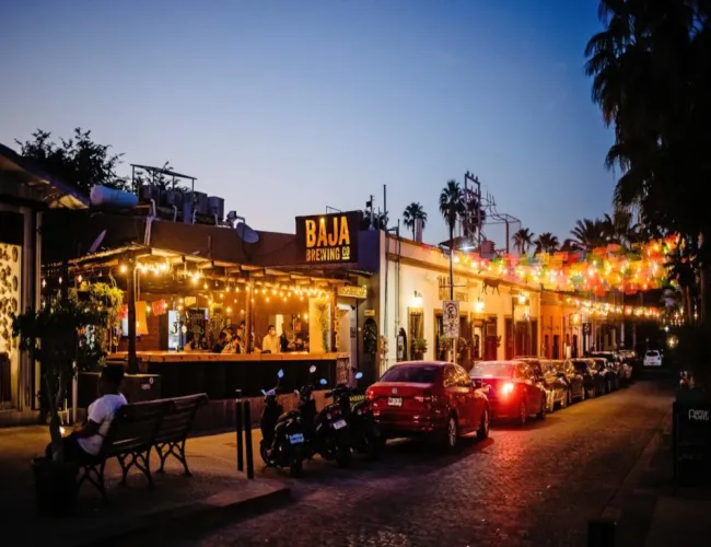 baja brewing company 