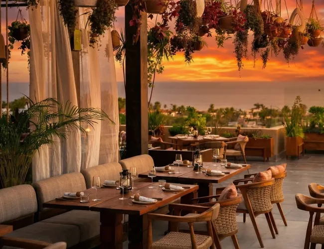 cabo blog new restaurants amara featured