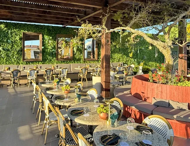 cabo blog simaruba restaurant san jose del cabo events featured