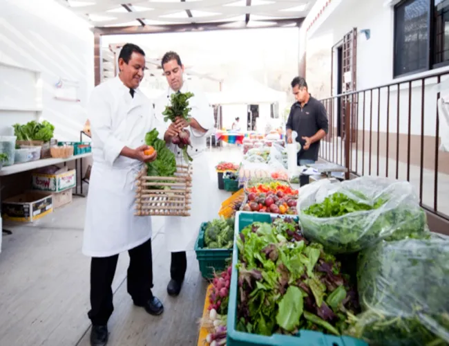 cabo organic farmers market
