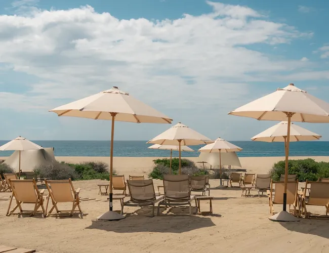 Tierra Sagrada Beach Club and Adventure Park Cabo San Lucas Activities 