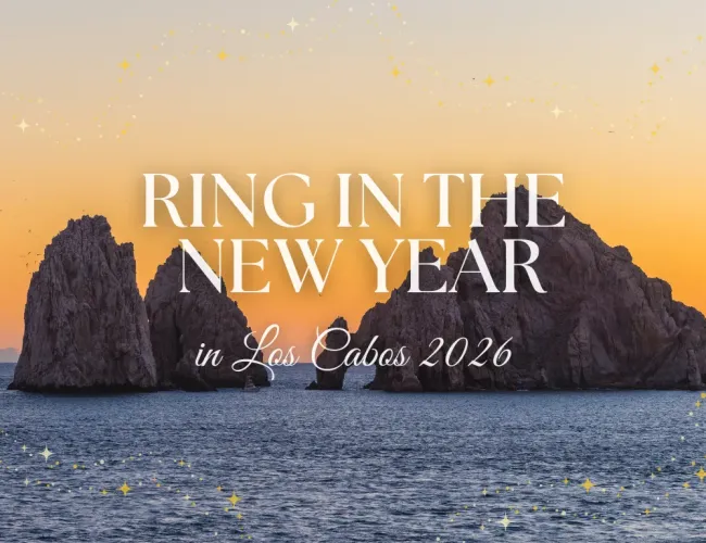 cv nye 2026 featured image