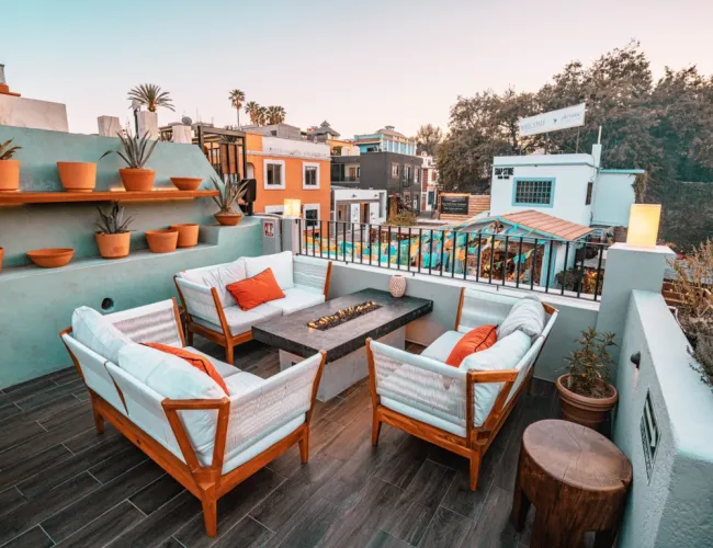 agave rooftop ed