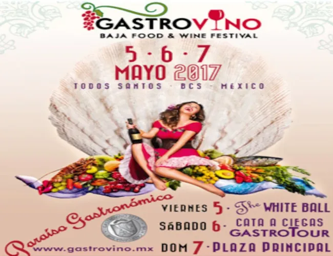 gastrovino