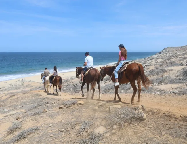 Pacific beach horseback riding tour