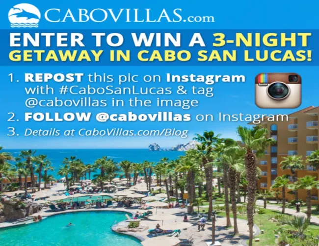 instagram contest