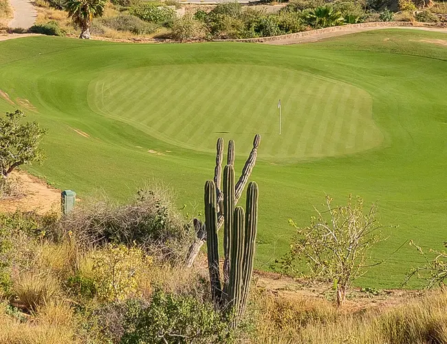 quivira blog featured image