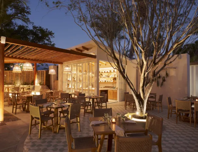 sage  studio caribe