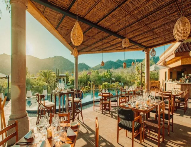 torote los cabos