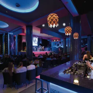 11 bar area riu palace baja california