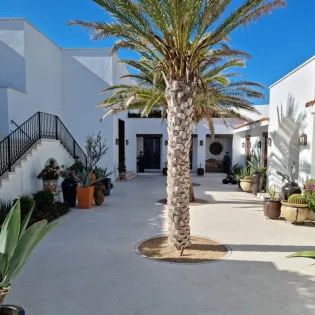 12 exterior la datcha