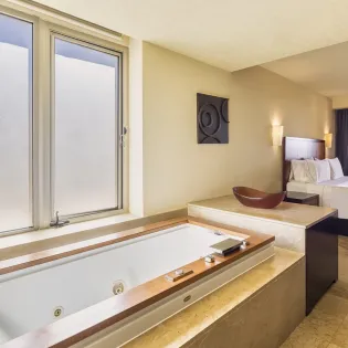14 bedroom 2 grand fiesta americana los cabos