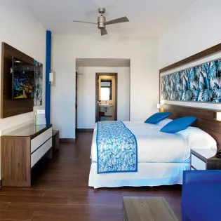 17 bedroom 2 riu santa fe