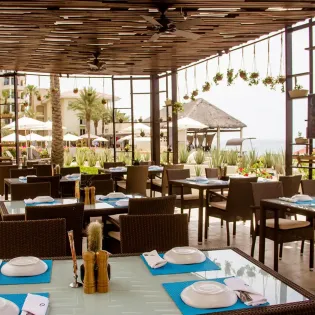 17 casa dorada los cabos cafe