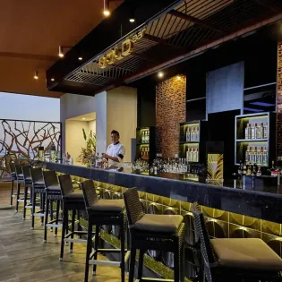 20 bar area riu palace baja california