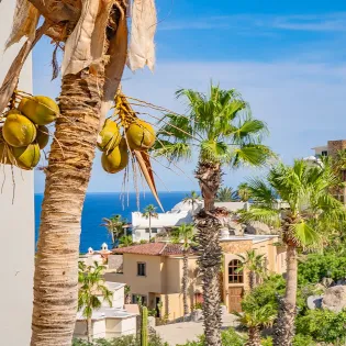 22 oceanview villa ladrillo