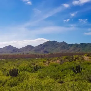 22 vllla bahia de los frailes surroundings