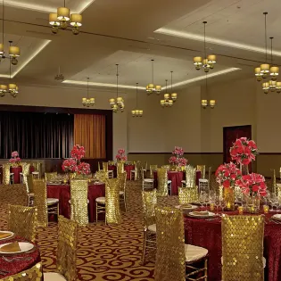23 secrets puerto los cabos dining