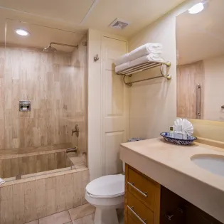 24 bathroom 1 villa del palmar beach resort   spa
