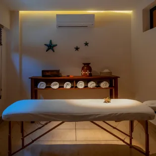 29 spa villa saguaro
