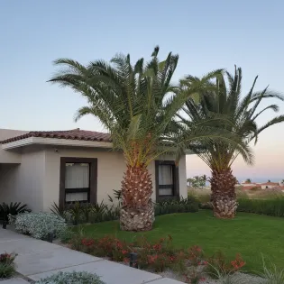 3 exterior palmilla estates 58